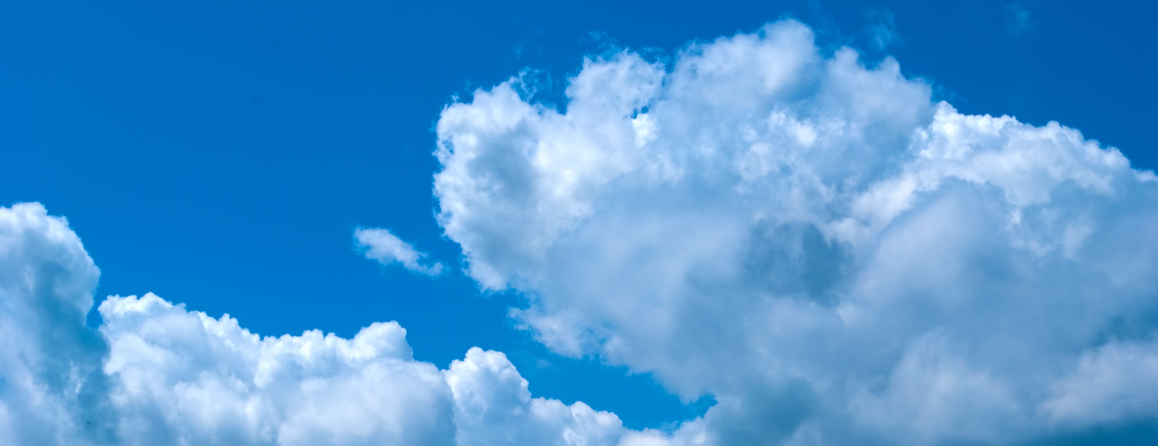 Office Canone - 事業内容 -